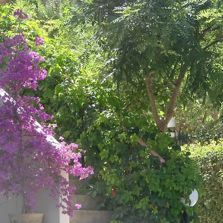 Christianna Appartement Nikiana