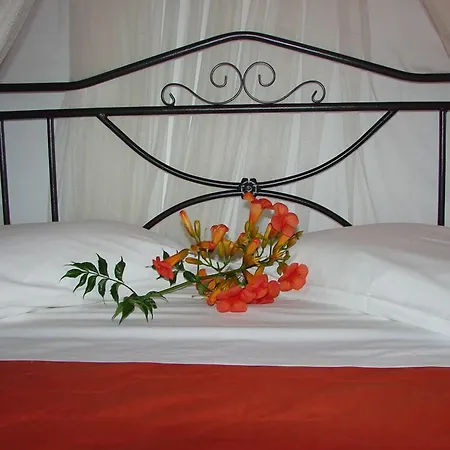 Appartement Christianna Nikiana